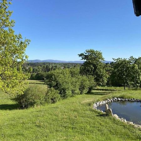 Cozy Apartment In Braunlage Near Forest Hohegeiss Bagian luar foto