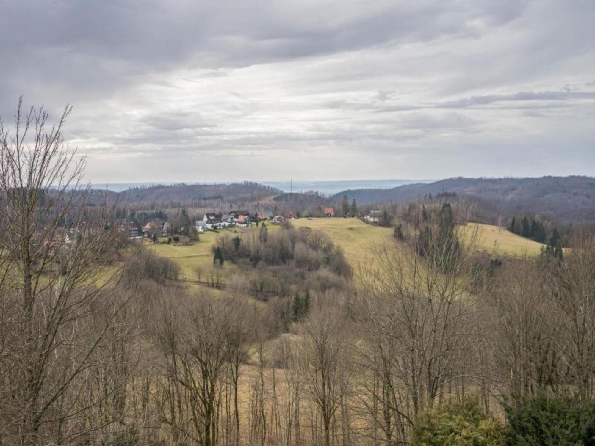 Cozy Apartment In Braunlage Near Forest Hohegeiss Bagian luar foto