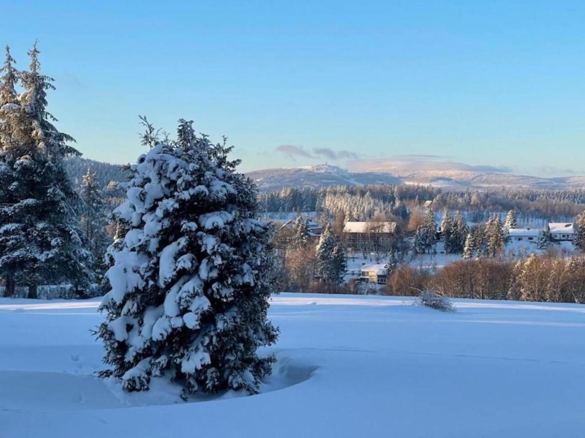 Cozy Apartment In Braunlage Near Forest Hohegeiss Bagian luar foto