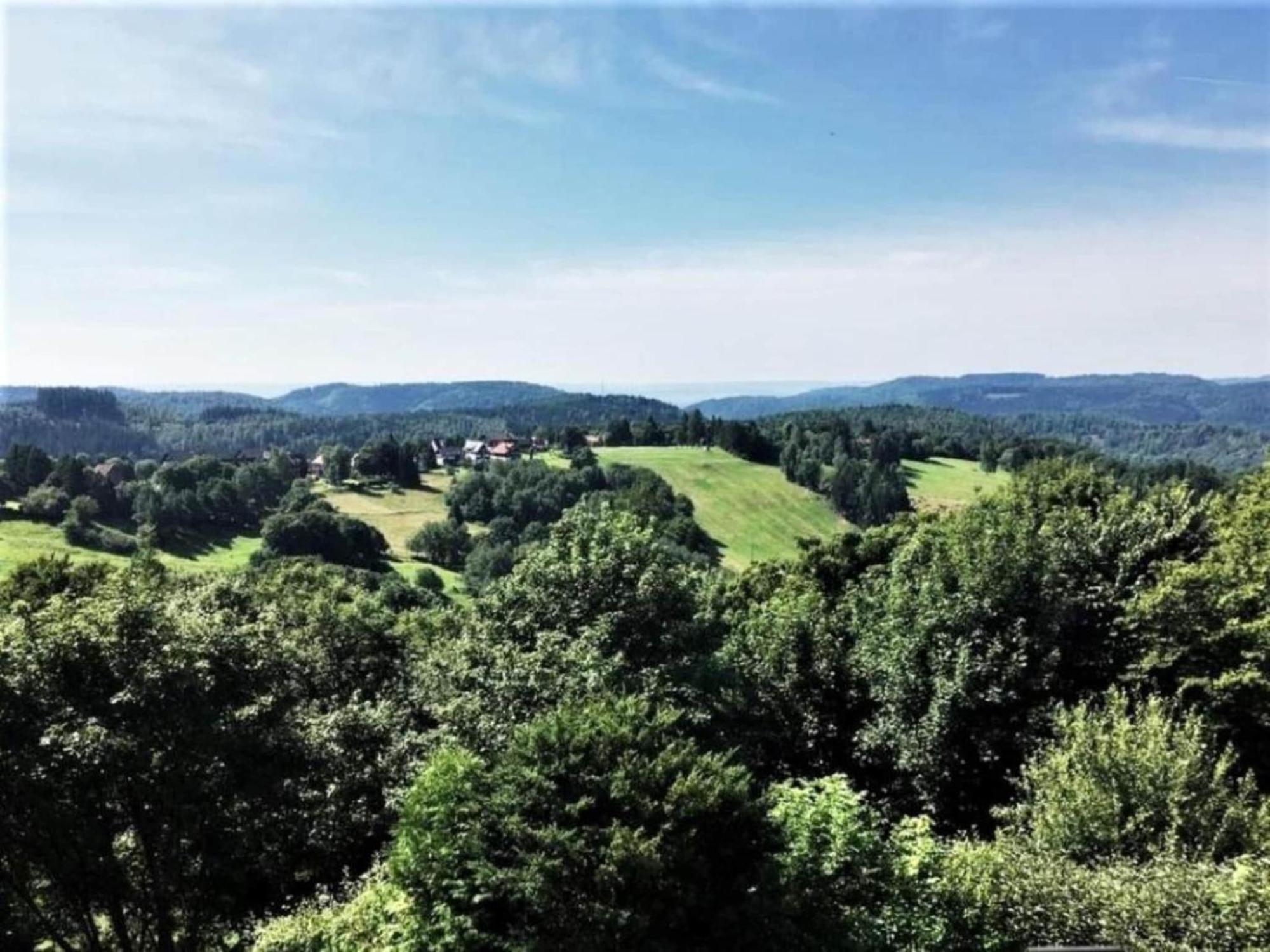 Cozy Apartment In Braunlage Near Forest Hohegeiss Bagian luar foto