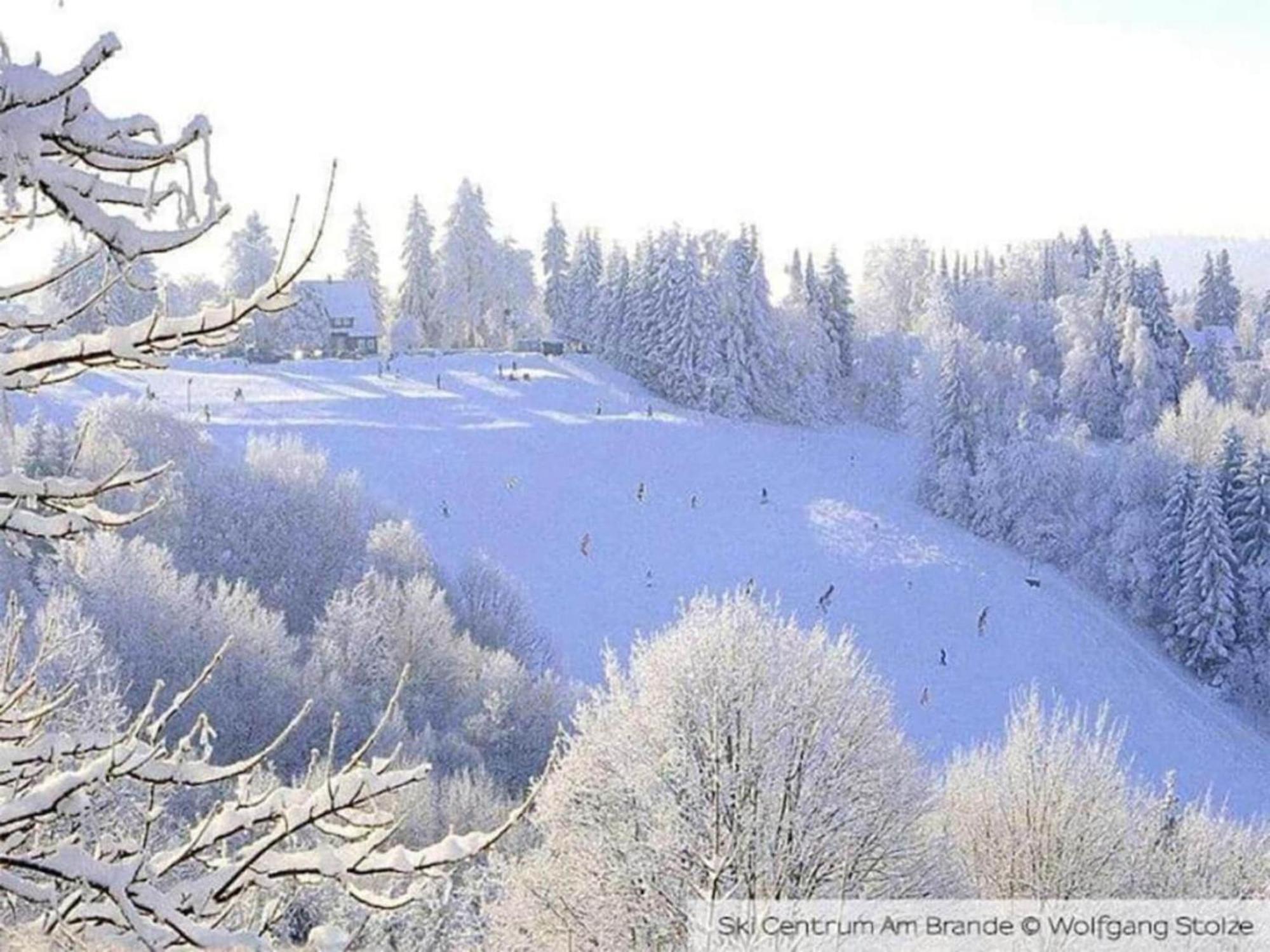 Cozy Apartment In Braunlage Near Forest Hohegeiss Bagian luar foto