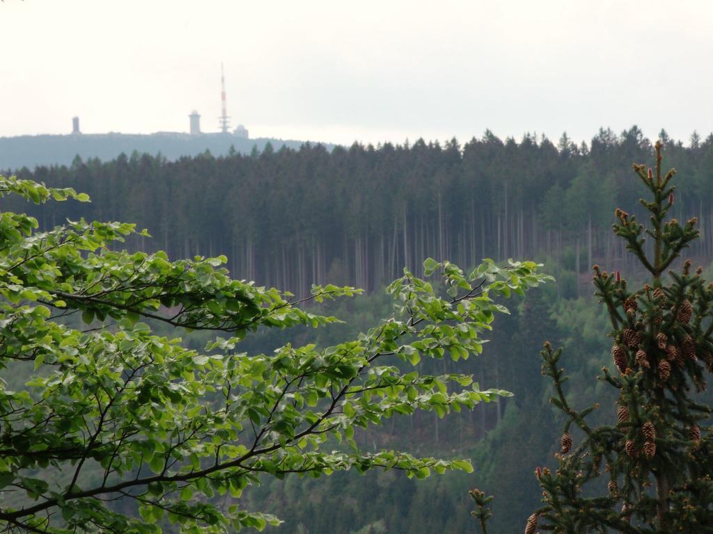 Cozy Apartment In Braunlage Near Forest Hohegeiss Bagian luar foto